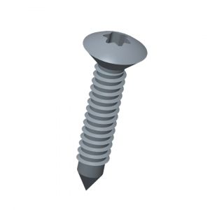 fastenko_RaisedCountersunkHead6LobeDriveSelfTappingScrewtypeC.jpg